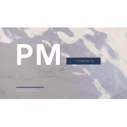 Atmon FL Moduł pomiarowy pyłów PM2.5 i PM 10