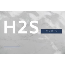 Atmon FL moduł pomiarowy siarkowodoru H2S